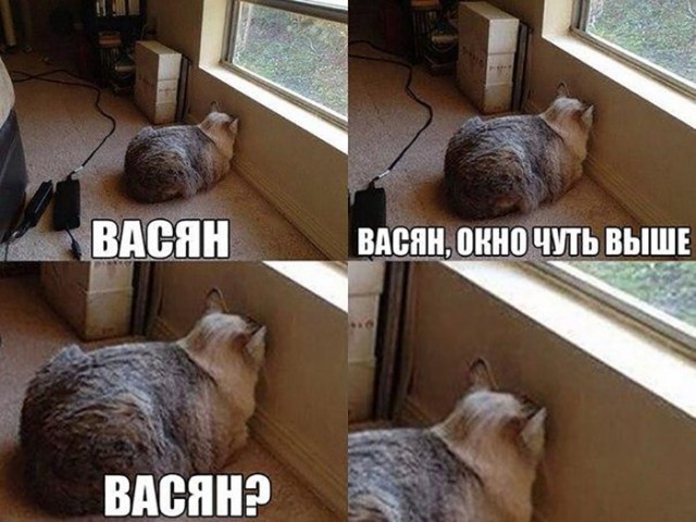 Нестандартный юмор