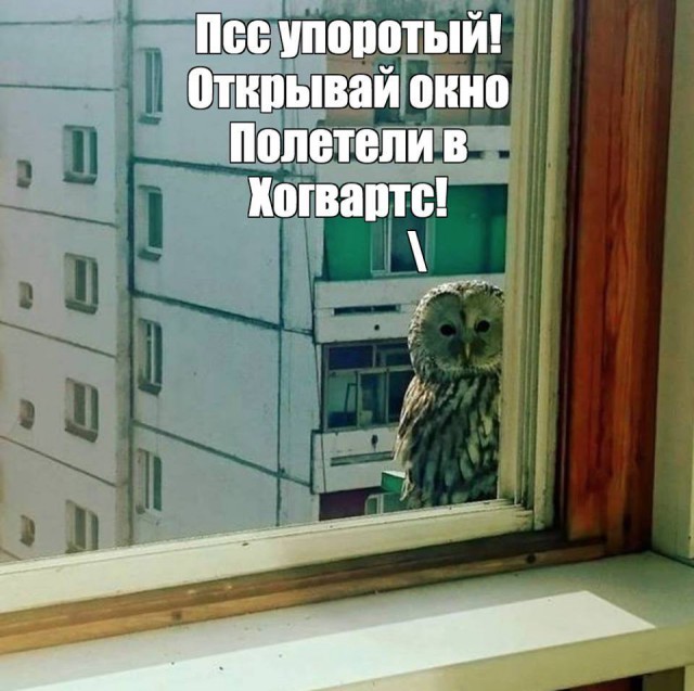 Ныряем в омут с головой!