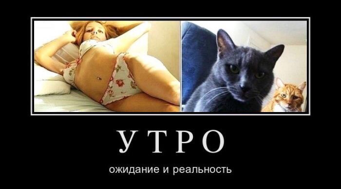 Ожидание против реальности