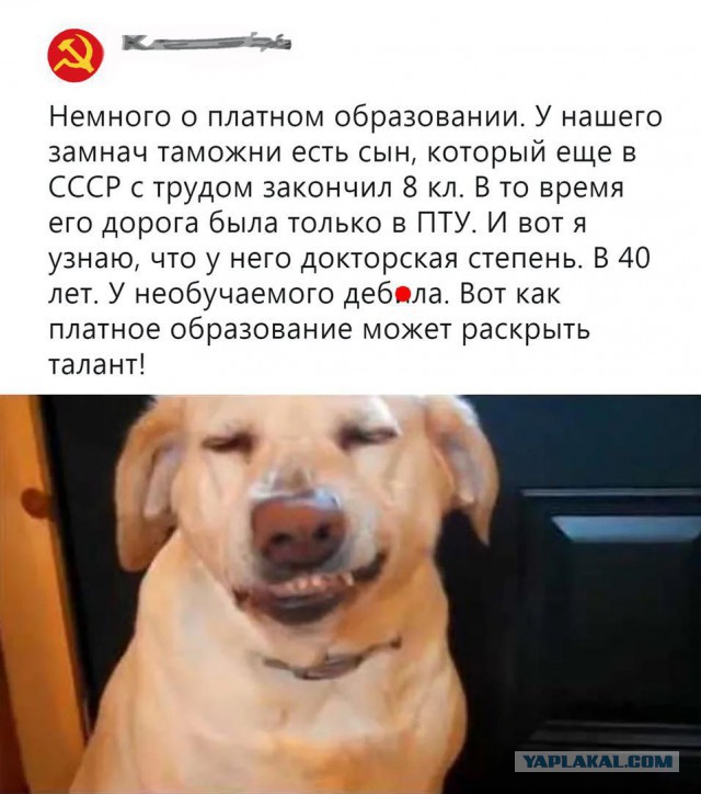 Меня бесит