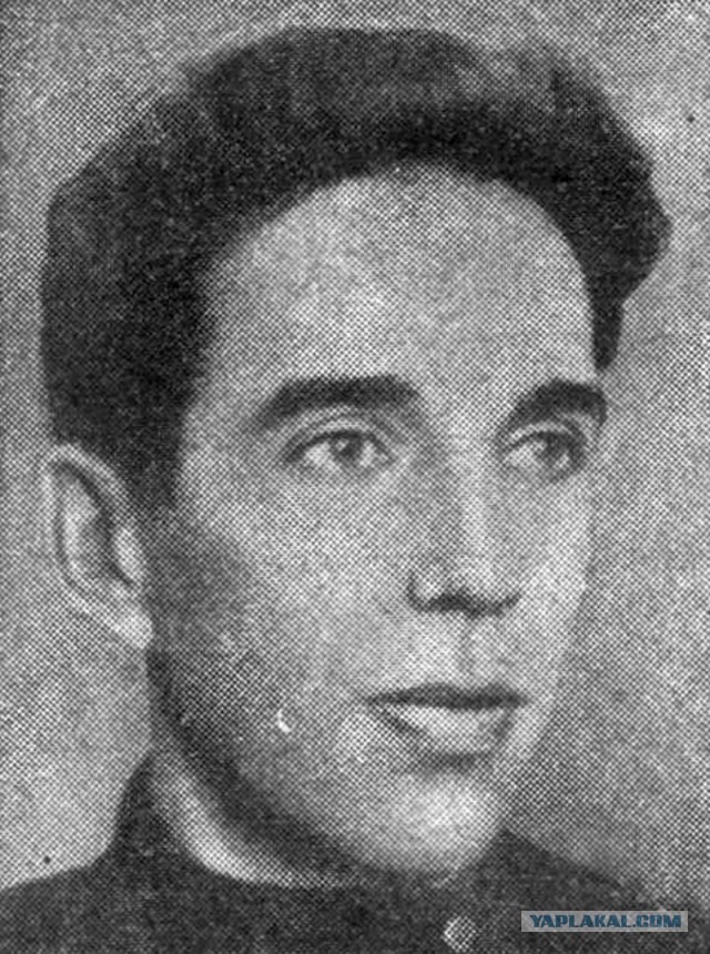 «Делу абвера верны!»