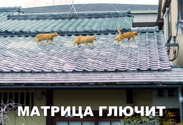 Нестандартный юмор