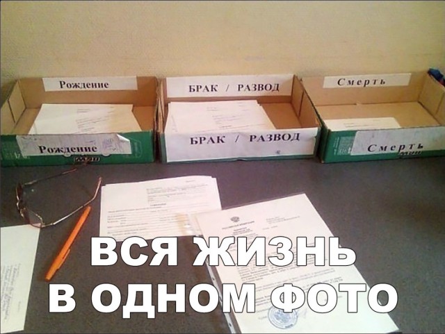 Развод с мужем не удался 81. Приколы про развод. Шутки про развод. Смешные картинки про развод с мужем. Приколы про развод с мужем.