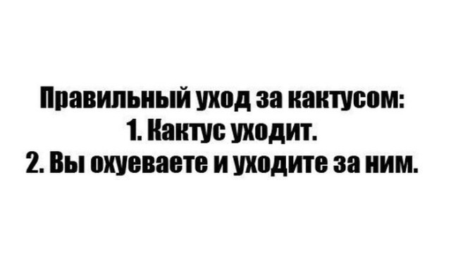 Немного картинок для настроения