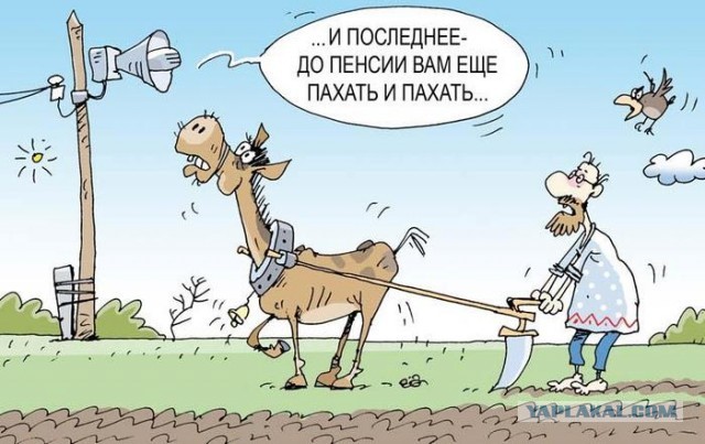 Ура дождались! Новая пенсионная реформа!