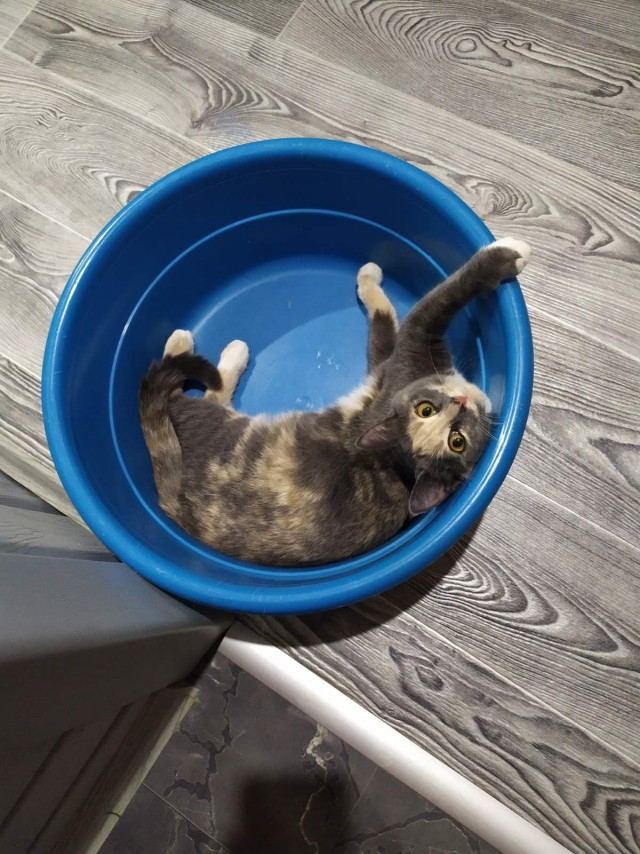 Краткосрочный отпуск с Радуги