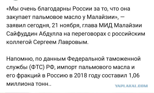 В России обнаружили тонны поддельного сливочного масла
