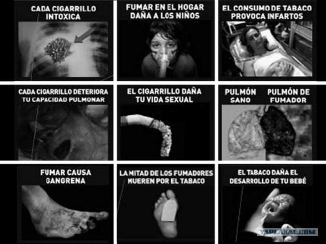 Австралийцы - курите "на здоровье