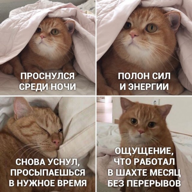 Немного картинок для настроения 27.01.20