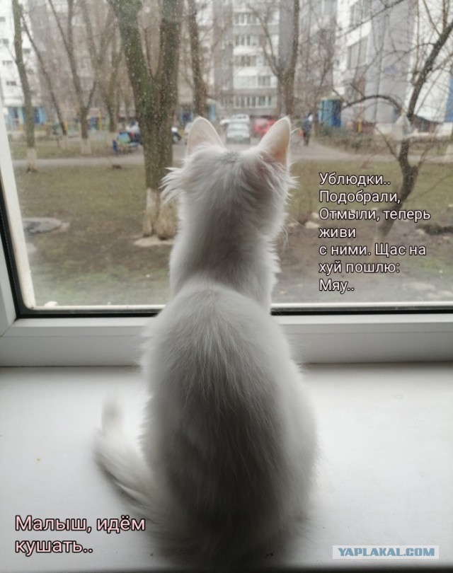 А у Вас какой вид из окна?