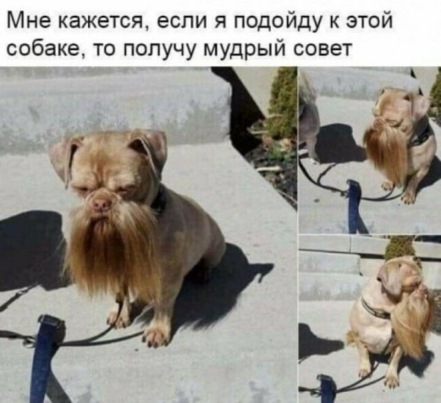 Немного картинок в эту необычную пятницу