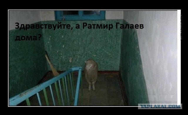 Стрелок из Ингушетии оказался племянником бывшего министра республики