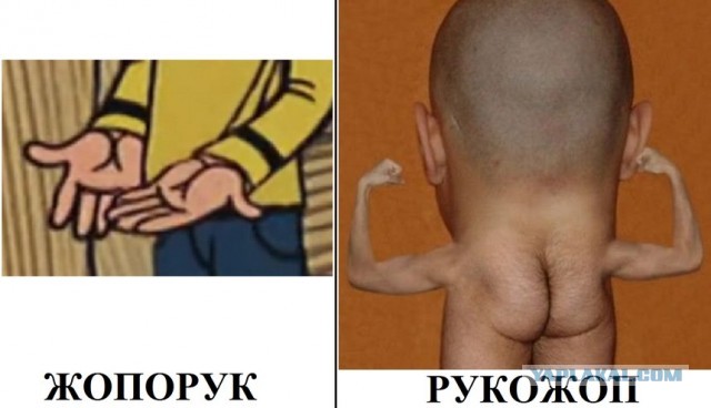 Победитель номинации жопорук