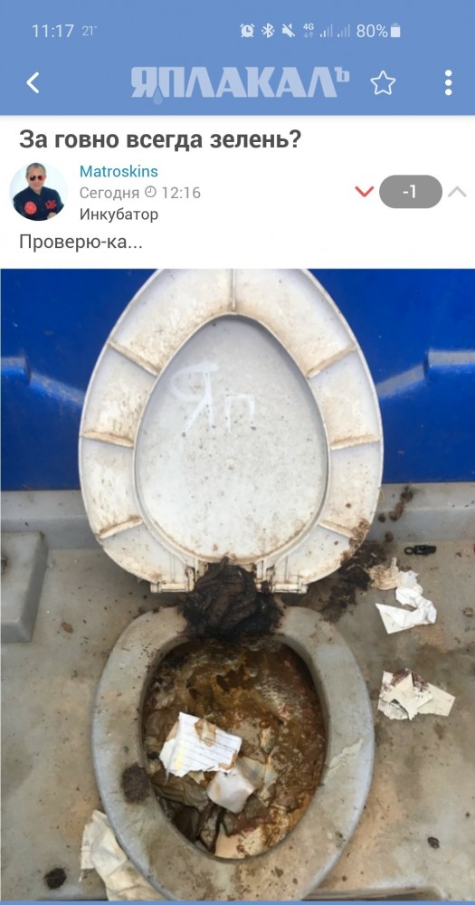 Дельфины ловят рыбу на мелководье