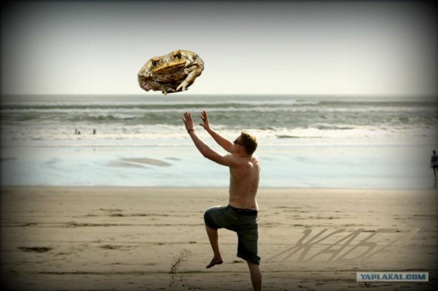 ZHABERBOTTLE 3.0 Разминка