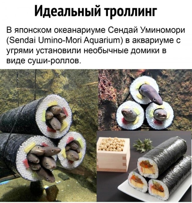 Картинки и мемы для настроения 026
