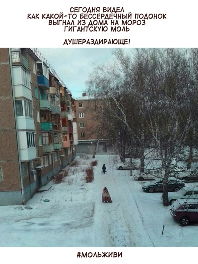 Так себе картинки 24.02.21