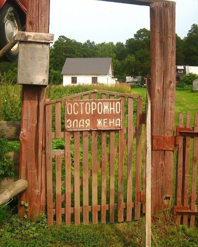 Картинки про дам и отношения