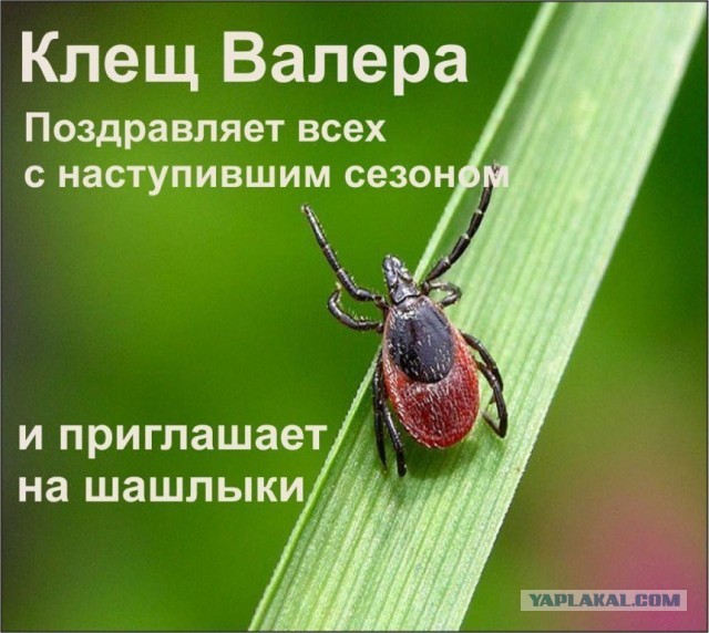Мужчины, ну как так то