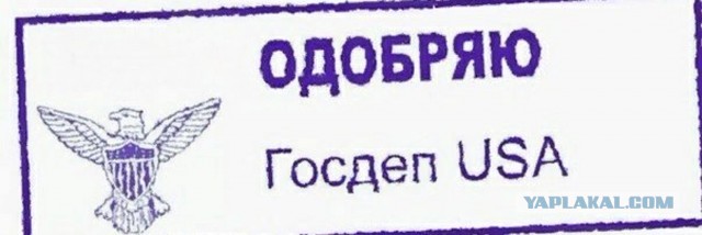 Юлия Волкова, которая недавно заявила о своем выдвижении в ГД от ЕР рассказала о том, что не патриотка и вообще любит США
