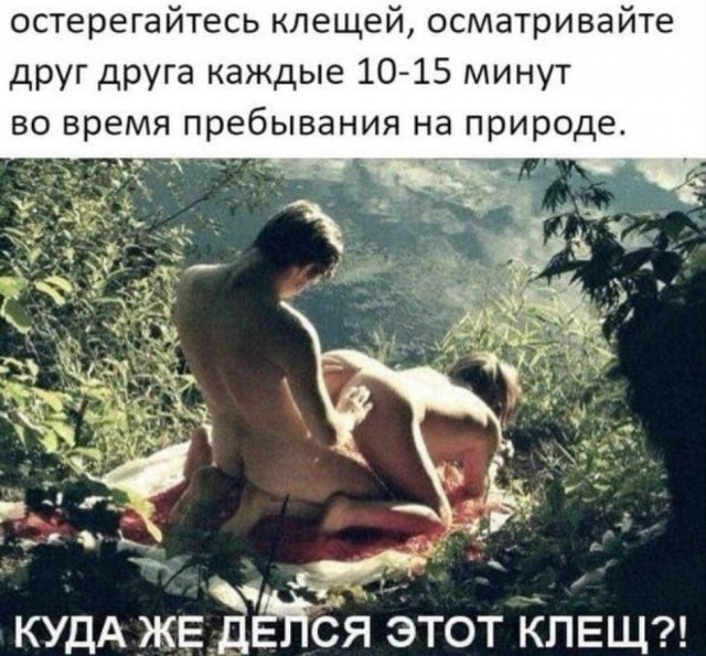 Укусил клещ