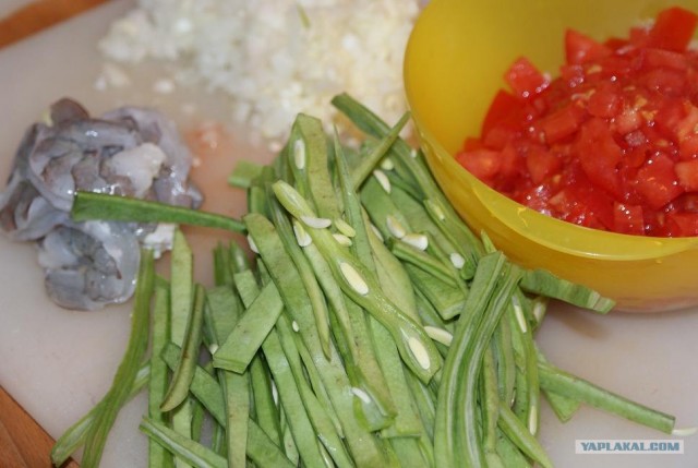 Фасоль – International, Или «Веселые нотки»