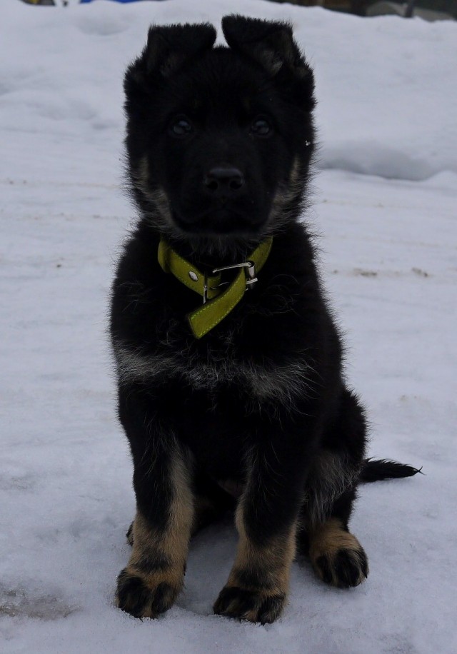 Когда то я была меньше кота, а теперь мы друзья