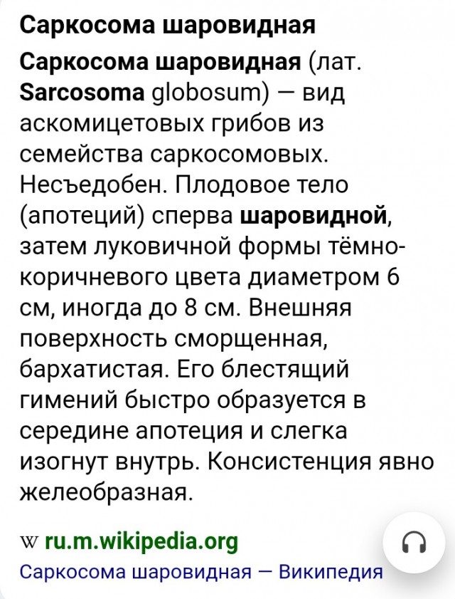 Грибы с другой планеты