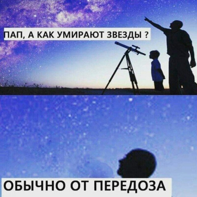 Всяческие картинки 10.11.2021