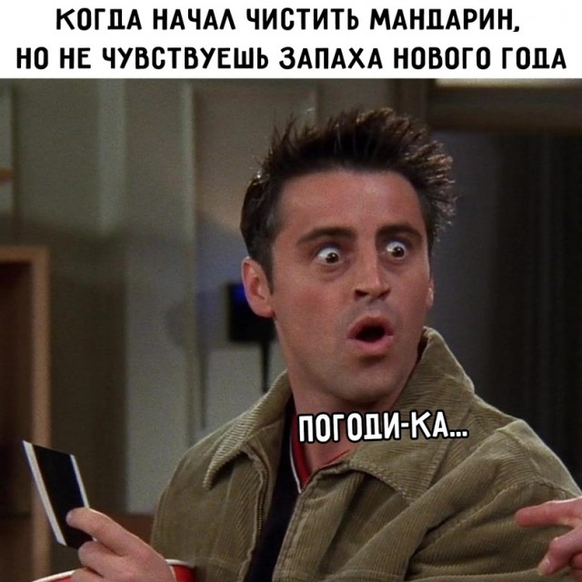 Весёлый полтишок 19.11.2021