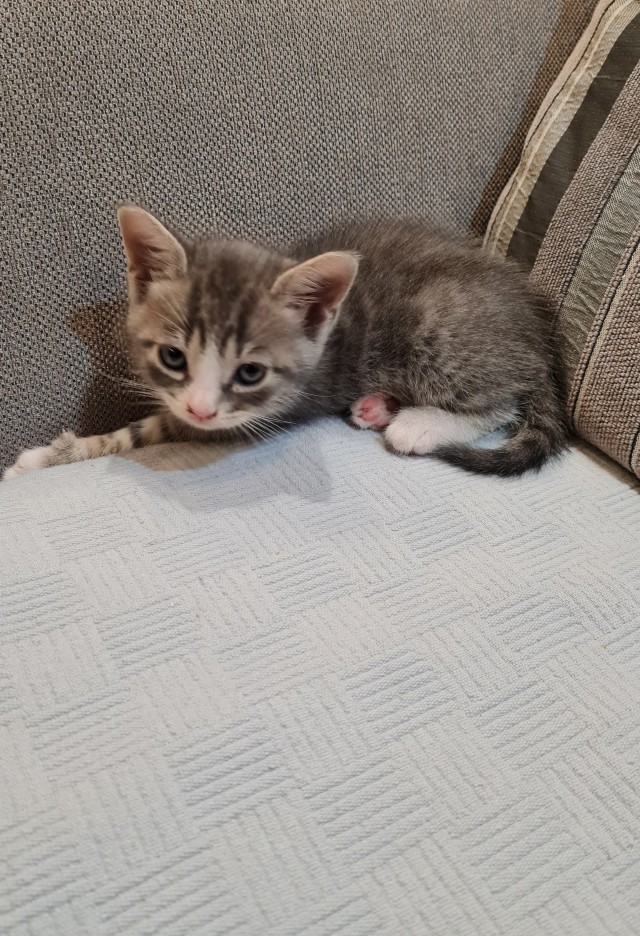 Теперь я тоже раб