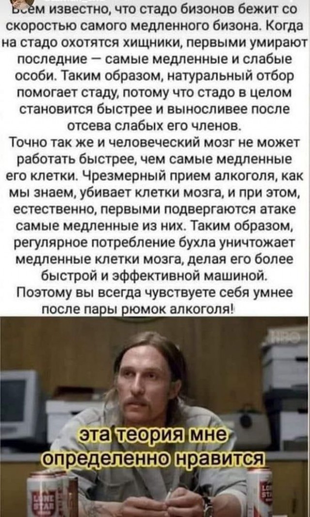 Чуток картинок 31.01.22