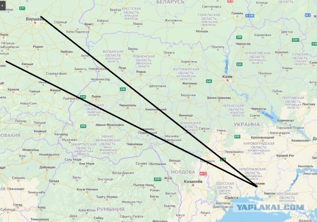 Николаев