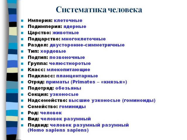 Как оно ничо? — Ништяк ваще