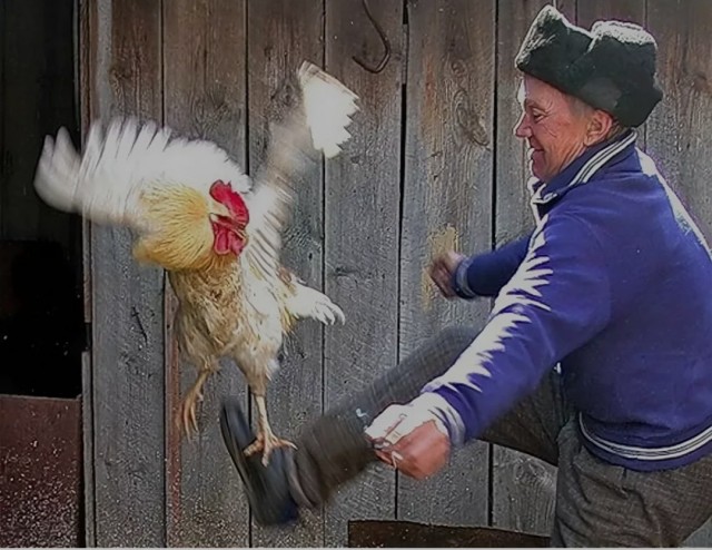 Актуальное...