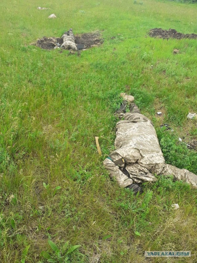 Так зазывают на военную службу в Петербурге