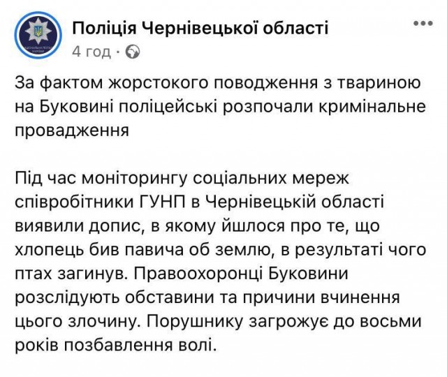 В Черновцах угашеное животное убило павлина ради забавы