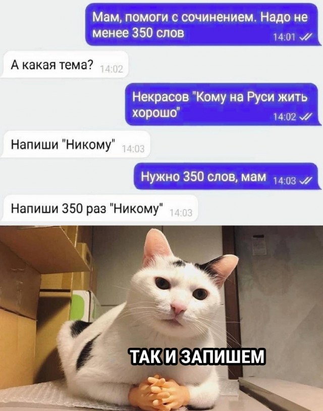 Так себе картинки 15.07.22