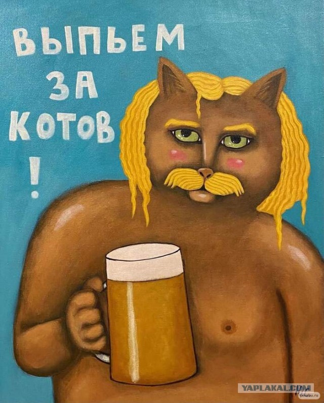 Жизнь домашнего приюта "Котоленд" 345