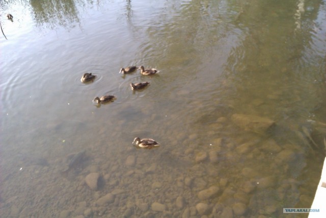 500 км. по Испании пешком