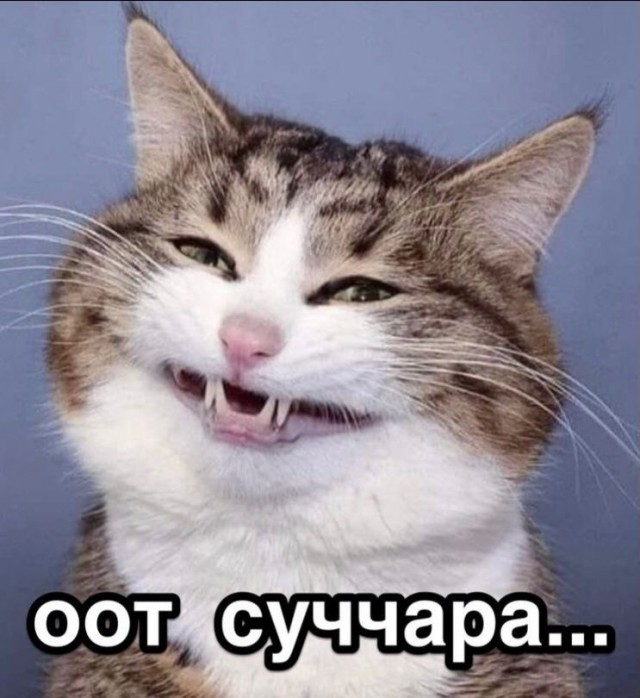 Как надлежит водочку правильно употреблять