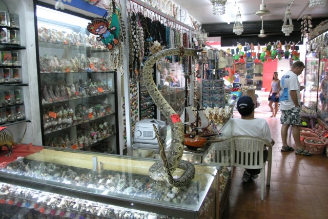 Поездка в Мексику (за деньги)