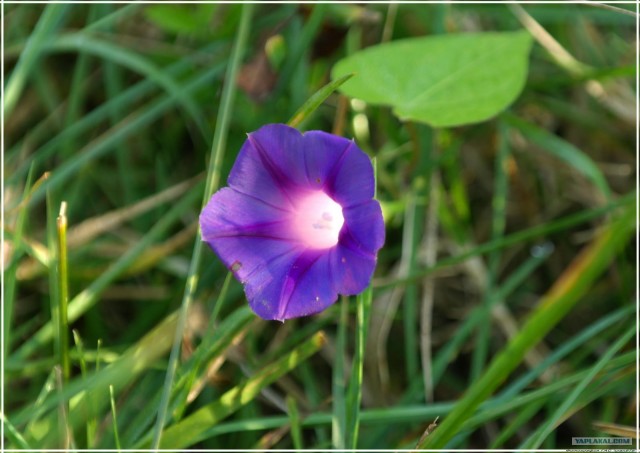 Крым. Змеиная балка. Терень-Джалга.