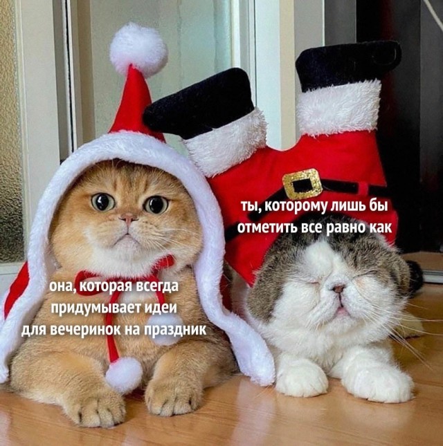Немного картинок для настроения/постпраздничное