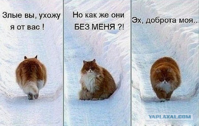 Победная поступь идиотизма по планете – том 7
