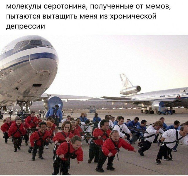 Картинки и мемы. Выходные близко...
