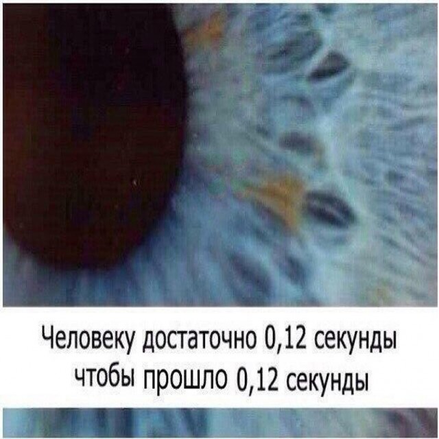 Весёлый полтишок 12.03.23
