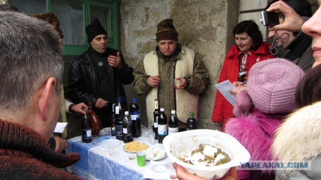 Крым в феврале или "Не стреляйте в белых лебедей!"