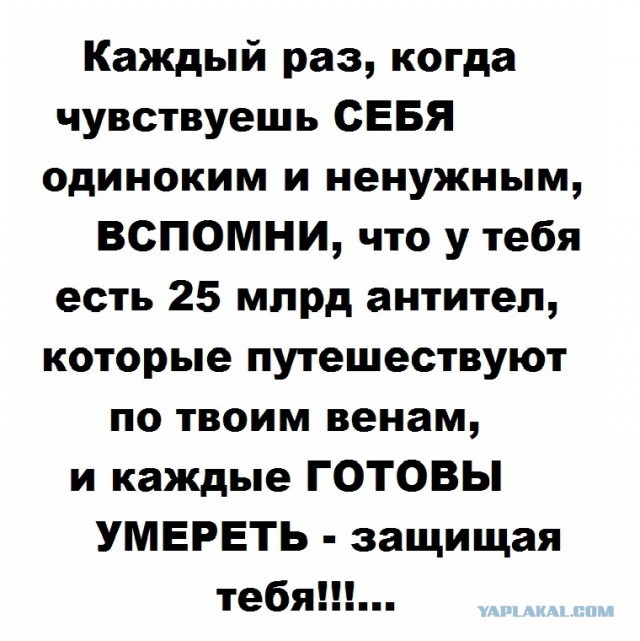 Если в ходе эволюции выживают лучшие, почему все женщины не выглядят, как супермодели?