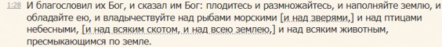 Представитель РПЦ объяснил, почему христианам нельзя смотреть фильмы ужасов